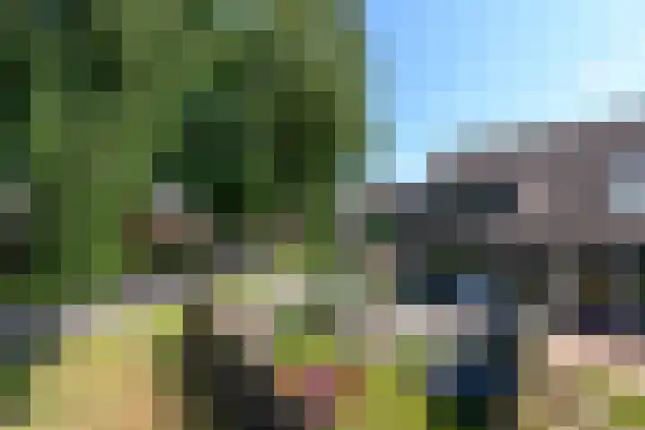 Kraaiheide 20 Wolvega thumbnail 25