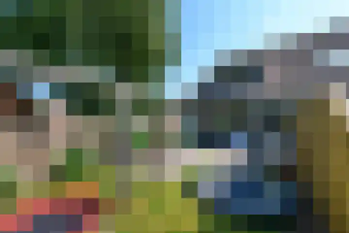 Kraaiheide 20 Wolvega thumbnail 31