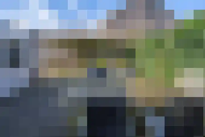 Kraaiheide 25 Eerbeek thumbnail 22