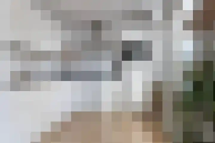 Kraaiheide 26 Eerbeek thumbnail 16