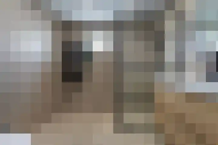 Kraaiheide 26 Eerbeek thumbnail 4