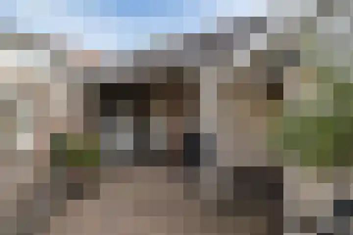 Kraaiheide 36 Emmen thumbnail 23