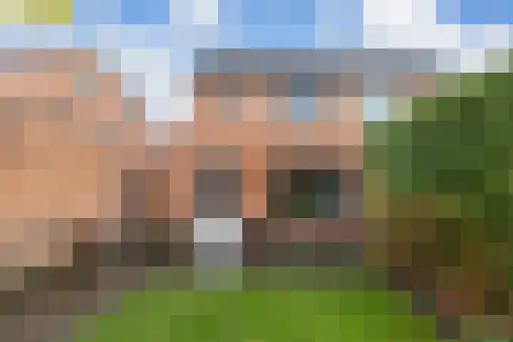 Kraaiheide 38 Eerbeek thumbnail 33