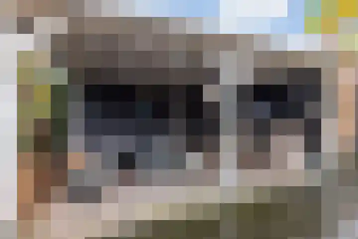 Kraaiheide 38 Eerbeek thumbnail 5