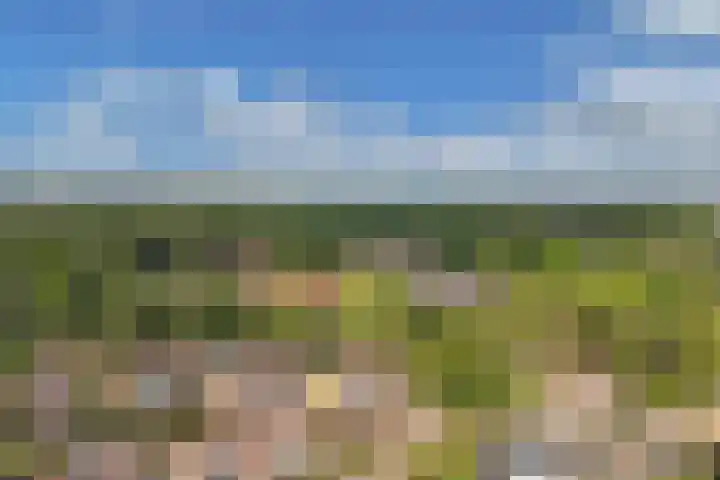 Kraaiheide 6 Wolvega thumbnail 10