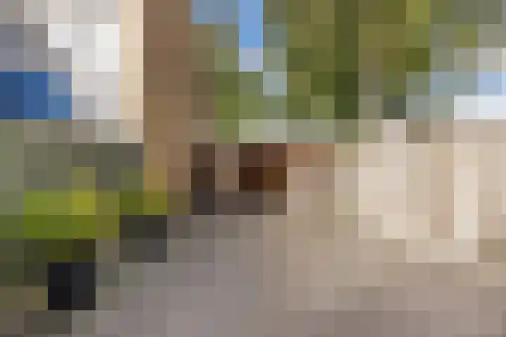 Kraaiheide 6 Wolvega thumbnail 32