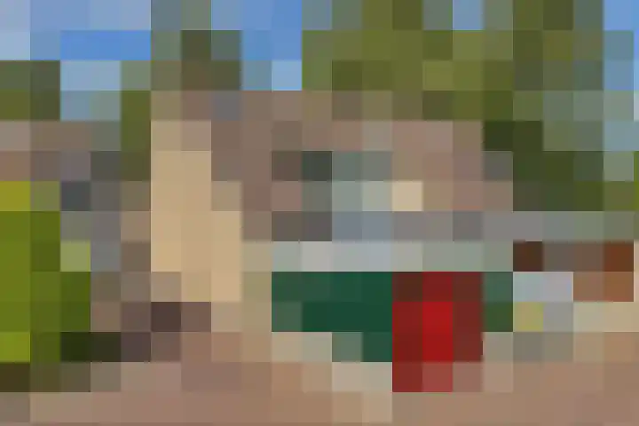 Kraaiheide 6 Wolvega thumbnail 8