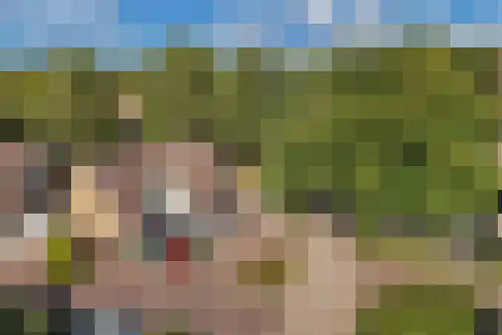 Kraaiheide 6 Wolvega thumbnail 9