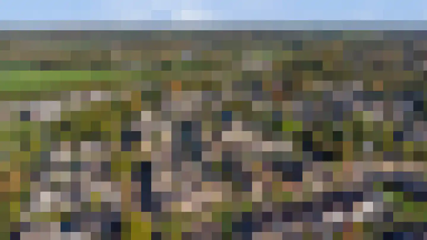 Kraaijenberg 8007 Wijchen thumbnail 37