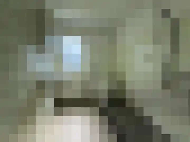 Kraaijenberg 9247 Wijchen thumbnail 15