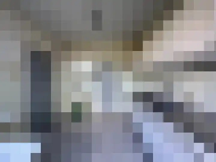 Kraaijenberg 9247 Wijchen thumbnail 8