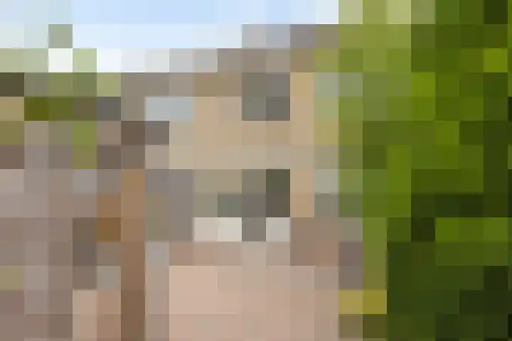 Kraaijenberg 9309 Wijchen thumbnail 27