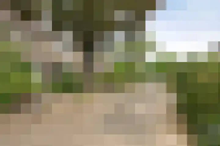 Kraaijenberg 9309 Wijchen thumbnail 29