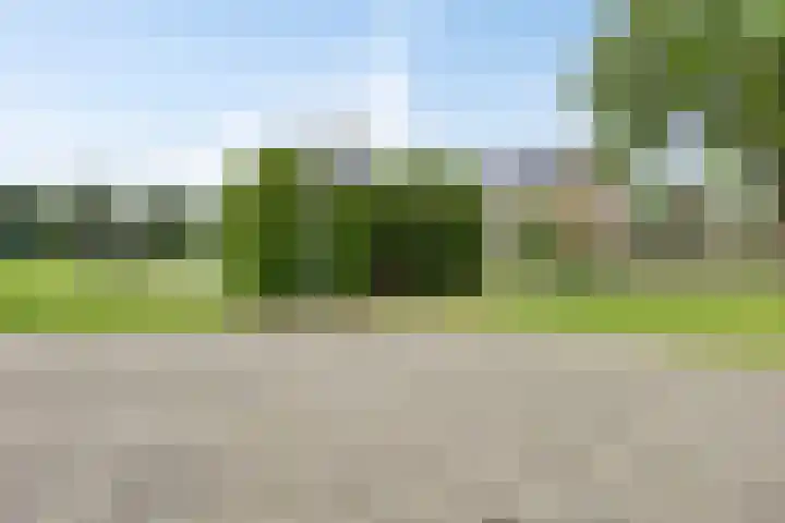 Kraaijenberg 9309 Wijchen thumbnail 31