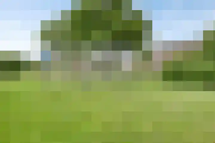 Kraaijenberg 9309 Wijchen thumbnail 32