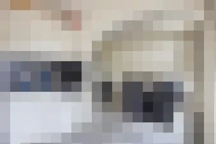 Kraaijenberg 9309 Wijchen thumbnail 8