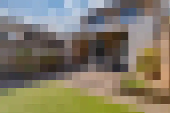 Kraaijenberg 9502 Wijchen thumbnail 10