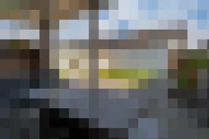 Kraaijenberg 9502 Wijchen thumbnail 13
