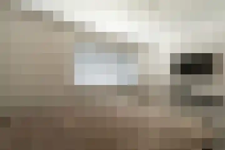Kraaijenberg 9502 Wijchen thumbnail 23