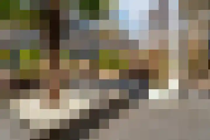 Kraaijenberg 9502 Wijchen thumbnail 27