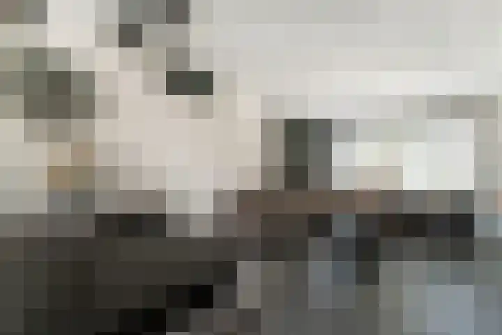 Kraaijenberg 9502 Wijchen thumbnail 5