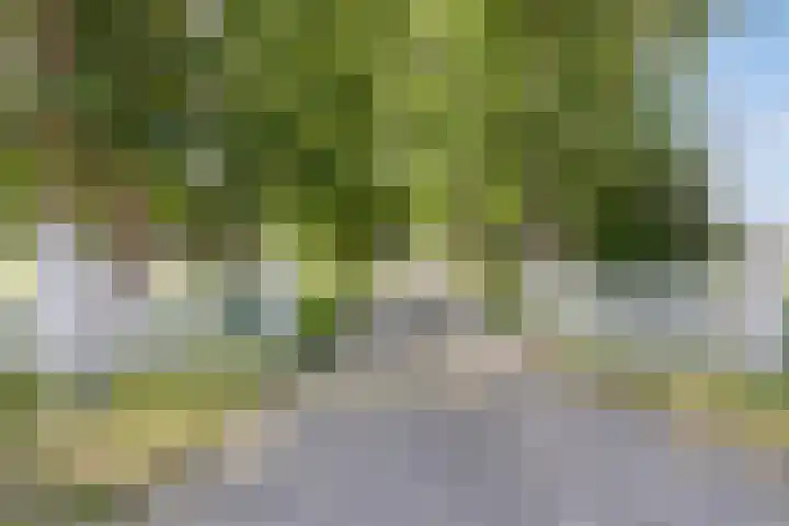 Kraaijerdijk 2 Melissant thumbnail 11
