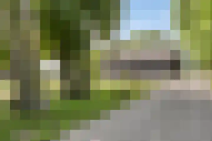 Kraaijerdijk 2 Melissant thumbnail 12