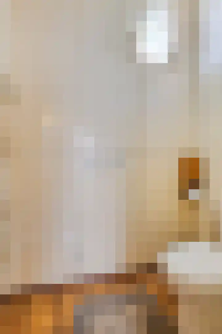 Kraaijerdijk 2 Melissant thumbnail 16