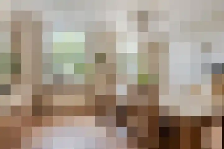 Kraaijerdijk 2 Melissant thumbnail 18