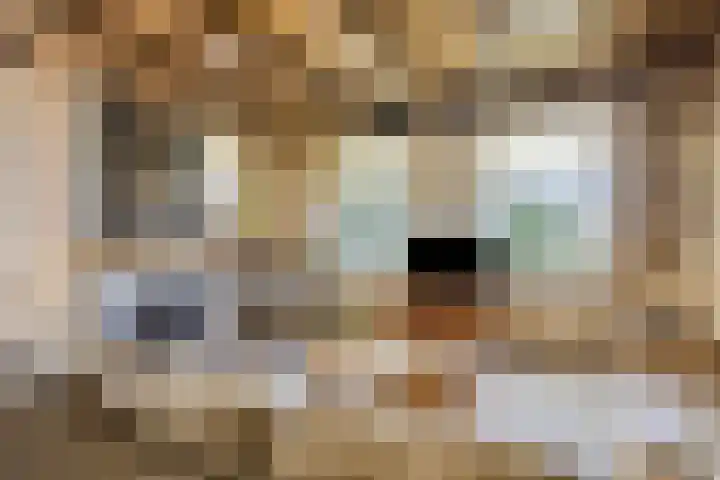 Kraaijerdijk 2 Melissant thumbnail 22