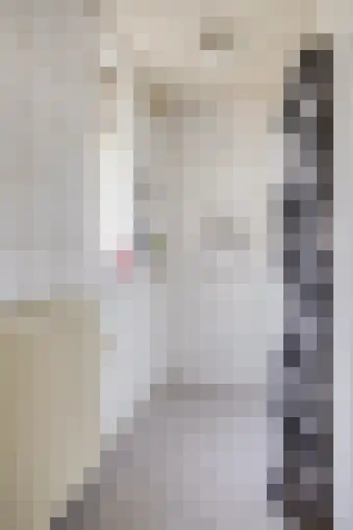 Kraaijerdijk 2 Melissant thumbnail 24