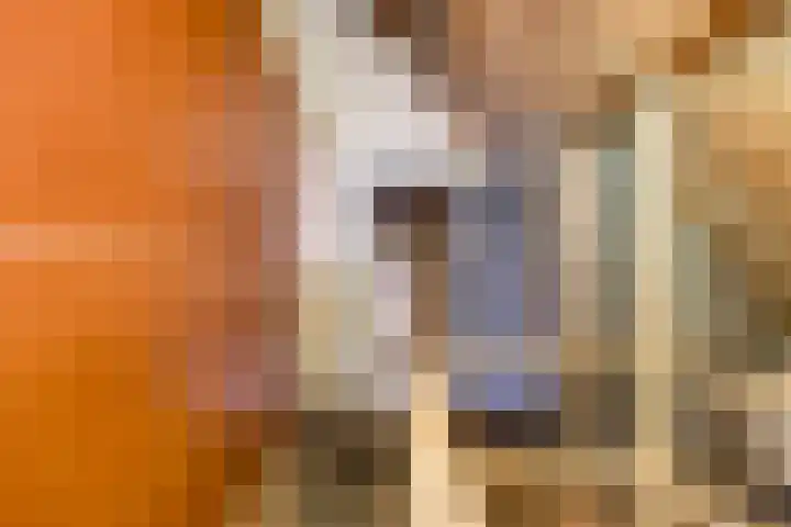 Kraaijerdijk 2 Melissant thumbnail 25