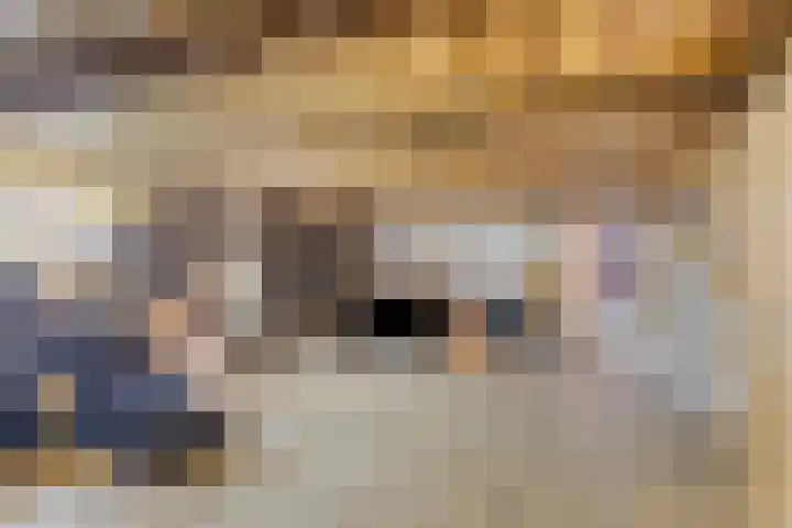 Kraaijerdijk 2 Melissant thumbnail 28
