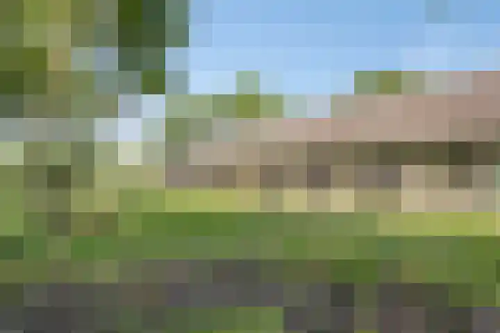 Kraaijerdijk 2 Melissant thumbnail 33