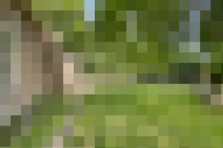 Kraaijerdijk 2 Melissant thumbnail 37