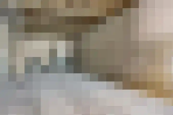 Kraaijerdijk 2 Melissant thumbnail 41