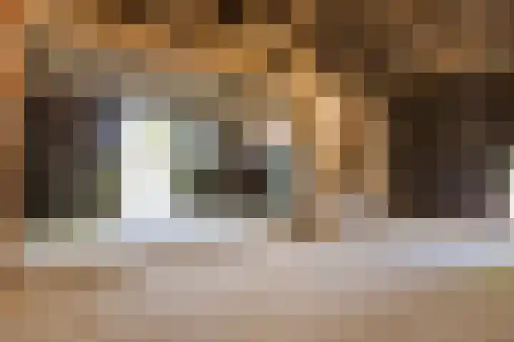 Kraaijerdijk 2 Melissant thumbnail 44