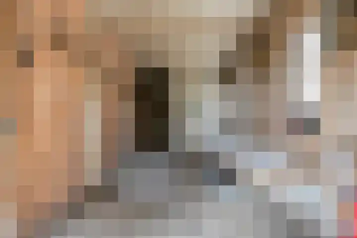 Kraaijerdijk 2 Melissant thumbnail 45