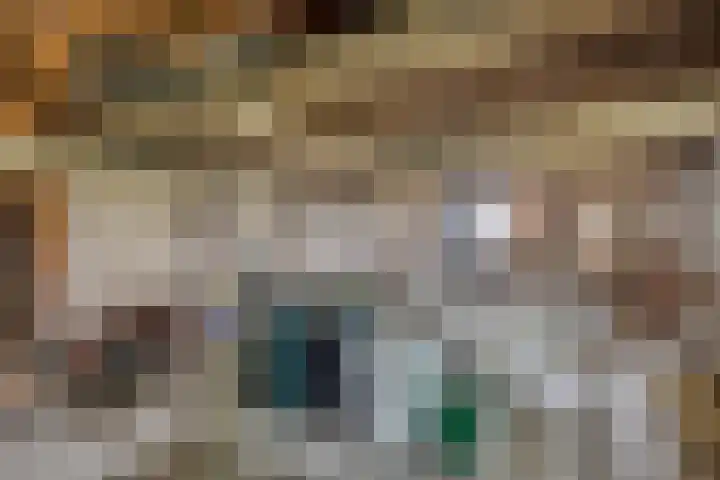 Kraaijerdijk 2 Melissant thumbnail 49