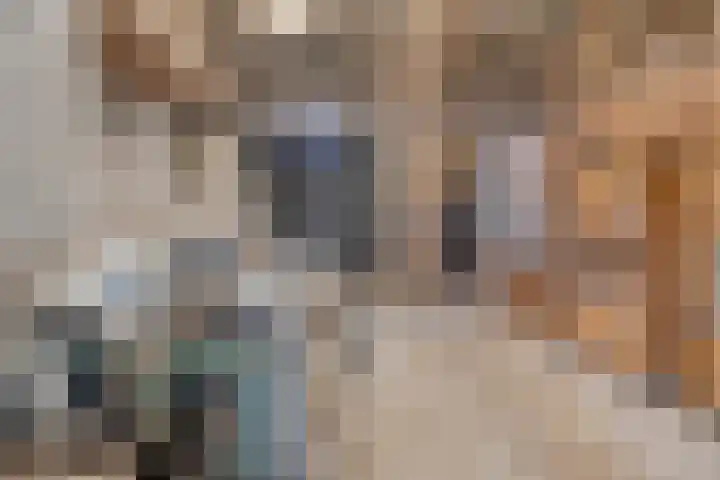 Kraaijerdijk 2 Melissant thumbnail 50