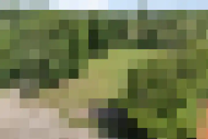 Kraaijerdijk 2 Melissant thumbnail 8