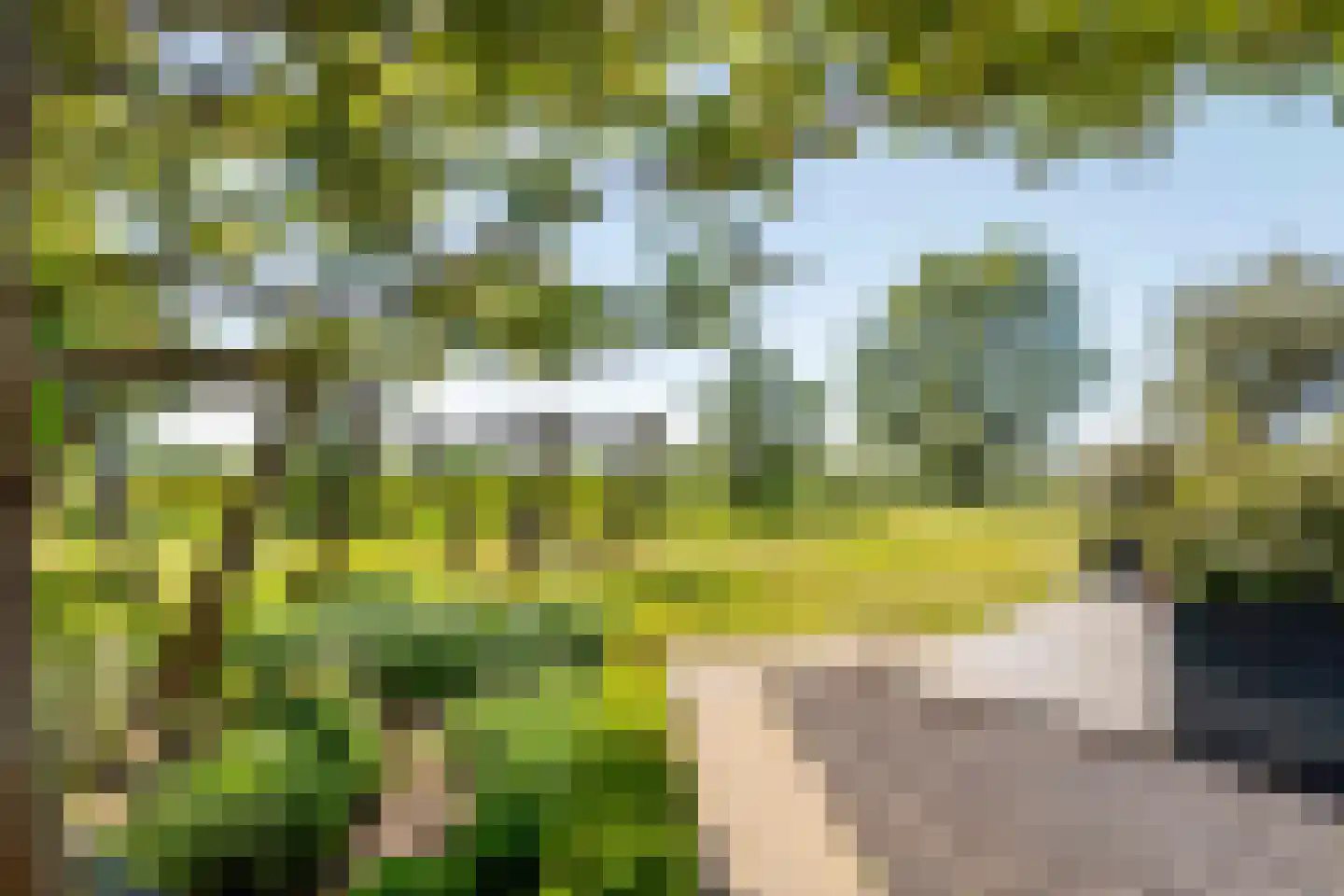 Kraaiveld 5 Woudrichem thumbnail 49