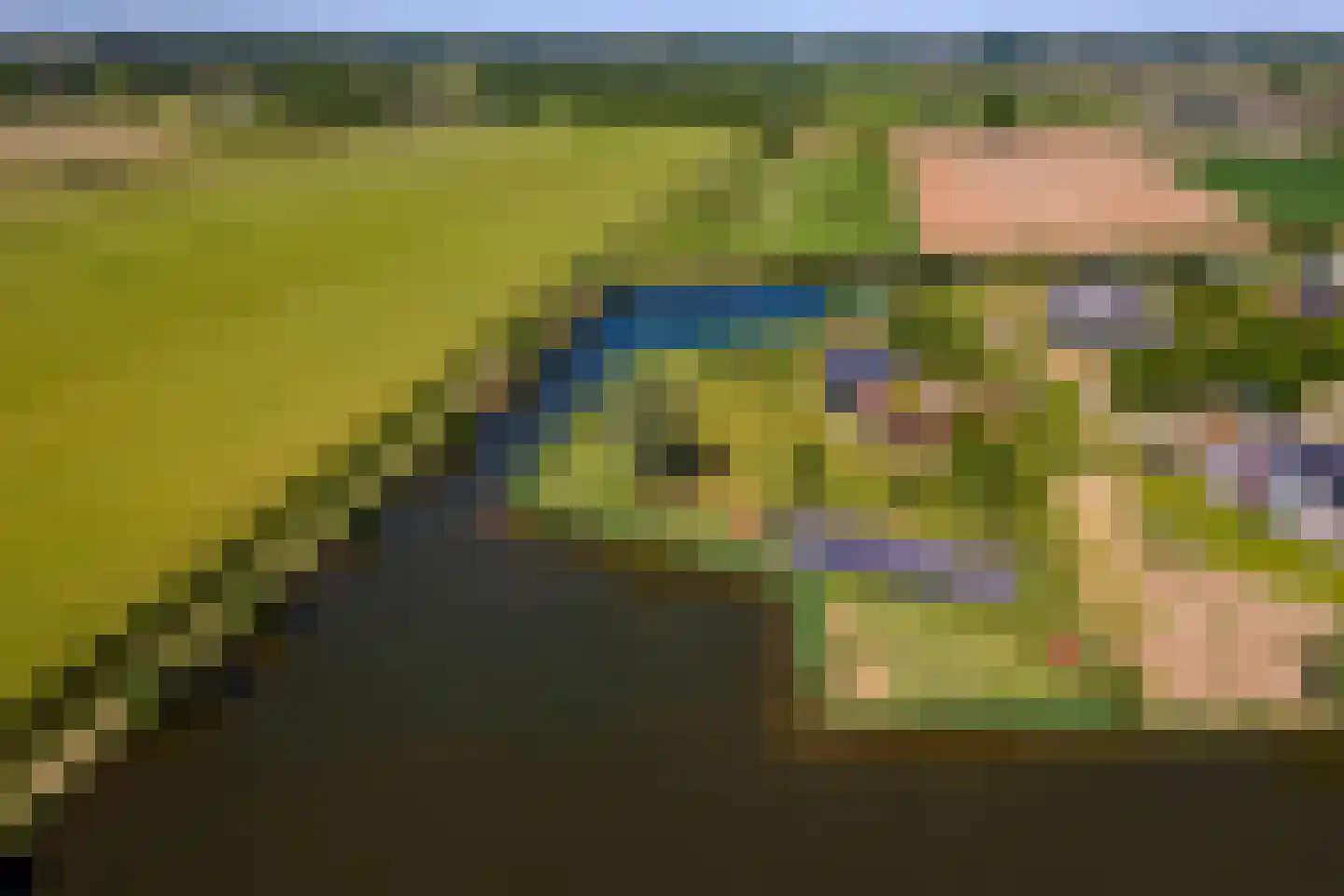 Kraaiveld 5 Woudrichem thumbnail 54