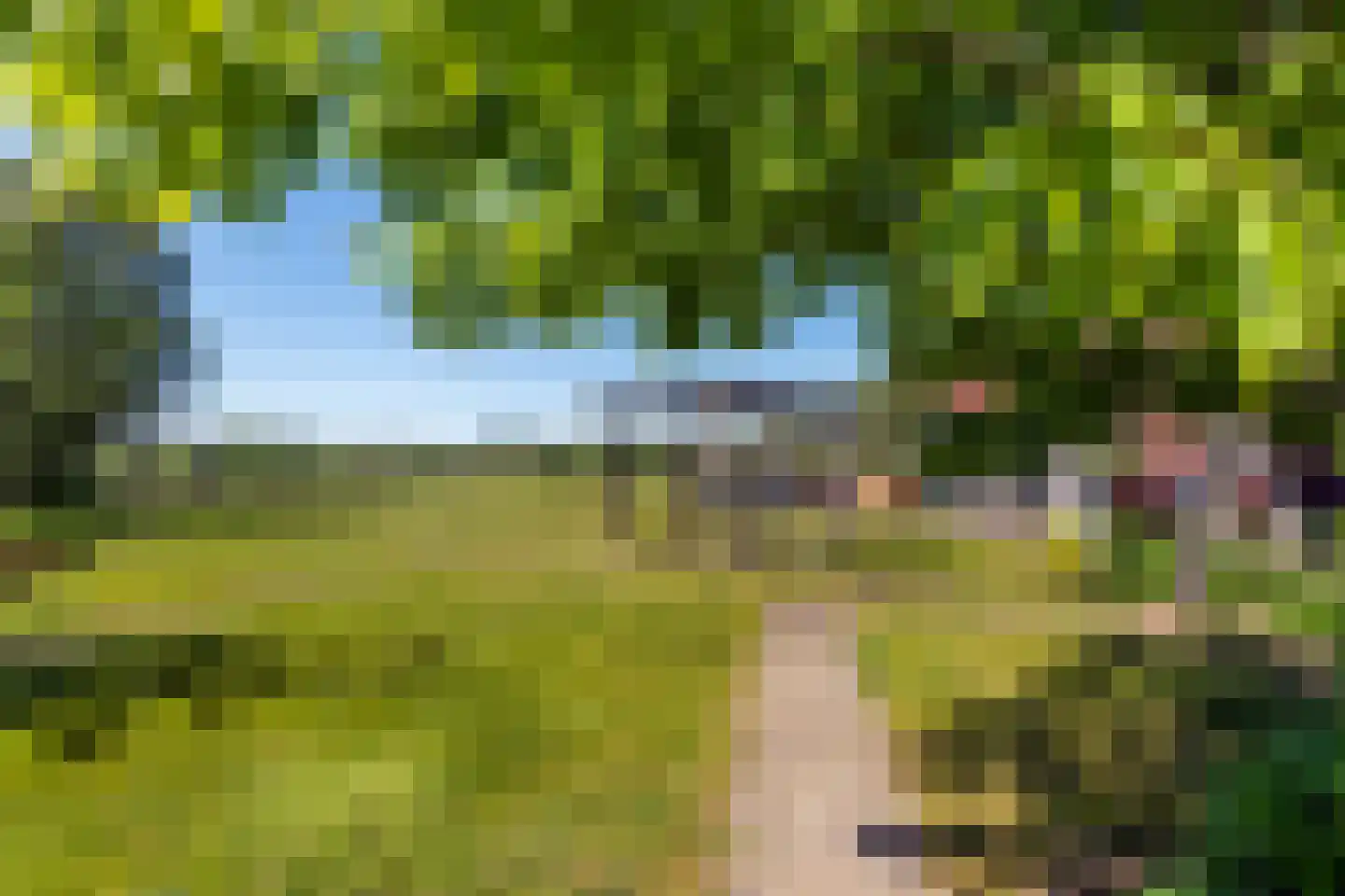 Kraaiveld 5 Woudrichem thumbnail 9