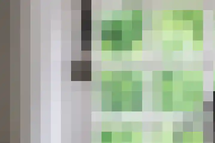 Kraanstraat 4 Veere thumbnail 18