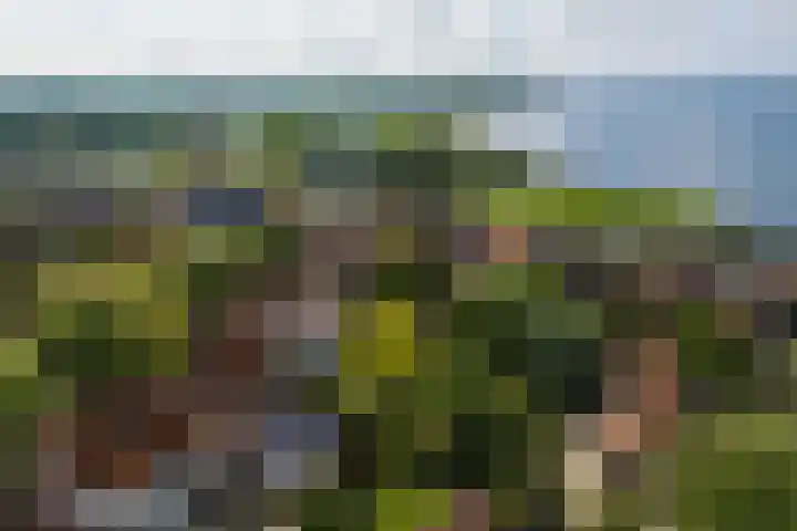 Kraanstraat 4 Veere thumbnail 29