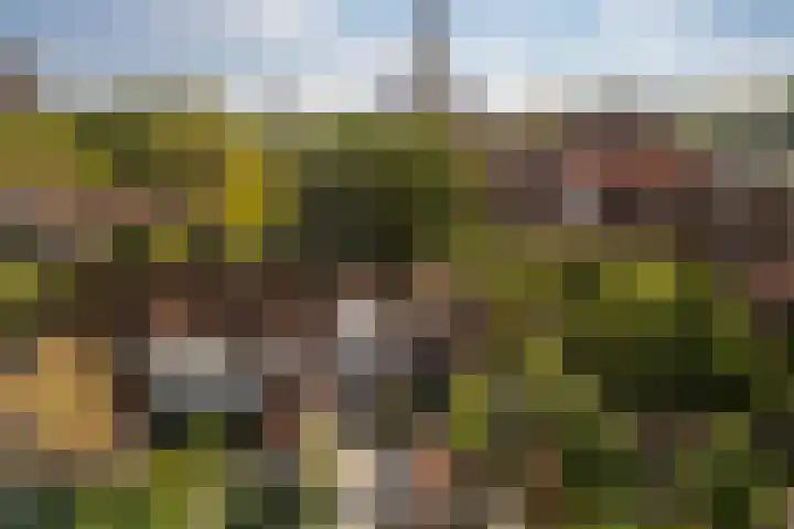 Kraanstraat 4 Veere thumbnail 32
