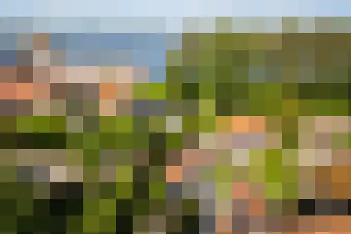 Kraanstraat 4 Veere thumbnail 33