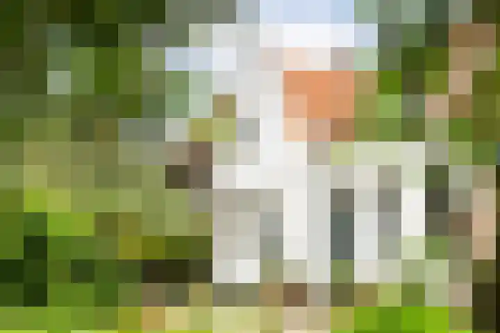 Kraanstraat 4 Veere thumbnail 52