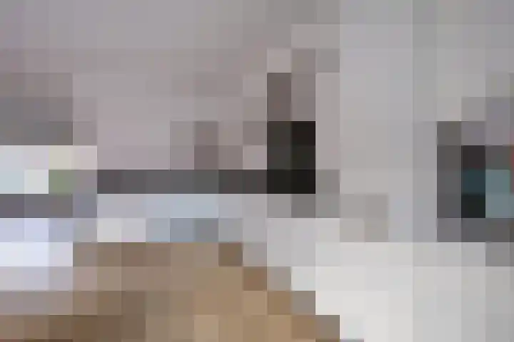 Kraatsweg 37 Ede thumbnail 11
